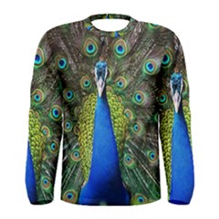 Peacock Bird Feathers Pheasant Nature Animal Texture Pattern Men s Long Sleeve T-shirt by Bedest