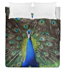 Peacock Bird Feathers Pheasant Nature Animal Texture Pattern Duvet Cover Double Side (queen Size) by Bedest