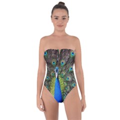 Peacock Bird Feathers Pheasant Nature Animal Texture Pattern Tie Back One Piece Swimsuit by Bedest