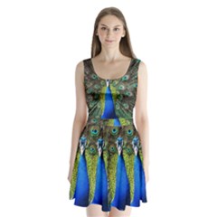 Peacock Bird Feathers Pheasant Nature Animal Texture Pattern Split Back Mini Dress  by Bedest