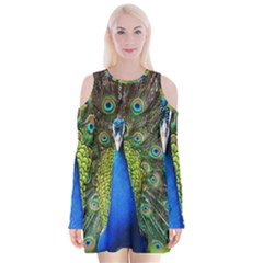 Peacock Bird Feathers Pheasant Nature Animal Texture Pattern Velvet Long Sleeve Shoulder Cutout Dress