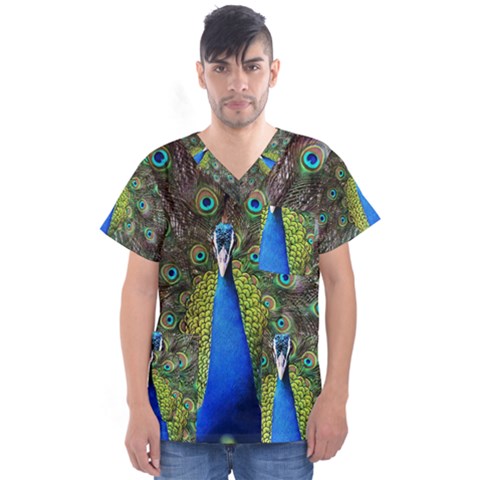 Peacock Bird Feathers Pheasant Nature Animal Texture Pattern Men s V-neck Scrub Top by Bedest