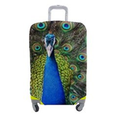 Peacock Bird Feathers Pheasant Nature Animal Texture Pattern Luggage Cover (small) by Bedest