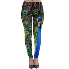 Peacock Bird Feathers Pheasant Nature Animal Texture Pattern Lightweight Velour Leggings by Bedest