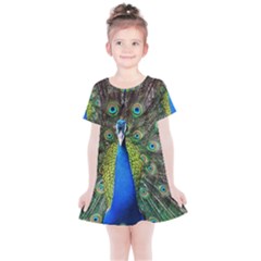 Peacock Bird Feathers Pheasant Nature Animal Texture Pattern Kids  Simple Cotton Dress by Bedest