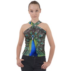 Peacock Bird Feathers Pheasant Nature Animal Texture Pattern Cross Neck Velour Top by Bedest