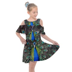 Peacock Bird Feathers Pheasant Nature Animal Texture Pattern Kids  Shoulder Cutout Chiffon Dress by Bedest