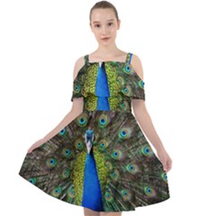 Peacock Bird Feathers Pheasant Nature Animal Texture Pattern Cut Out Shoulders Chiffon Dress by Bedest