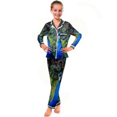 Peacock Bird Feathers Pheasant Nature Animal Texture Pattern Kids  Satin Long Sleeve Pajamas Set by Bedest