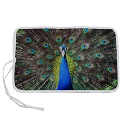 Peacock Bird Feathers Pheasant Nature Animal Texture Pattern Pen Storage Case (l) by Bedest