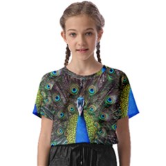 Peacock Bird Feathers Pheasant Nature Animal Texture Pattern Kids  Basic T-shirt by Bedest