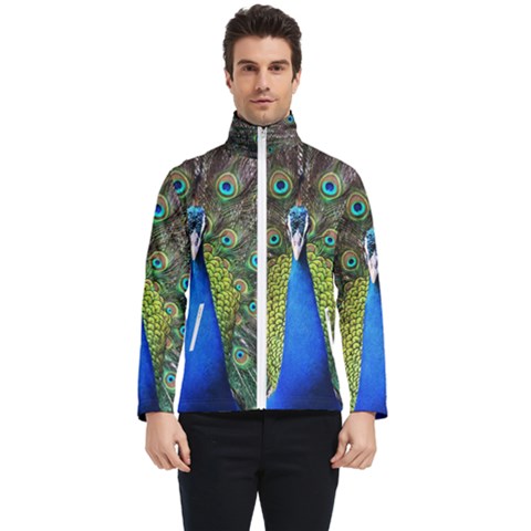 Peacock Bird Feathers Pheasant Nature Animal Texture Pattern Men s Bomber Jacket by Bedest