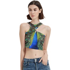 Peacock Bird Feathers Pheasant Nature Animal Texture Pattern Cut Out Top by Bedest