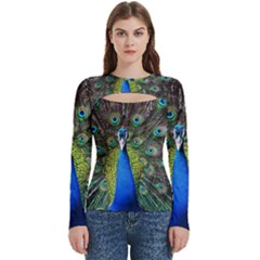 Peacock Bird Feathers Pheasant Nature Animal Texture Pattern Women s Cut Out Long Sleeve T-shirt by Bedest