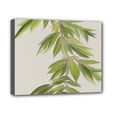 Watercolor Leaves Branch Nature Plant Growing Still Life Botanical Study Canvas 10  X 8  (stretched)