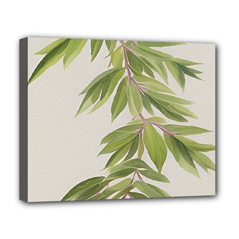 Watercolor Leaves Branch Nature Plant Growing Still Life Botanical Study Deluxe Canvas 20  X 16  (stretched)