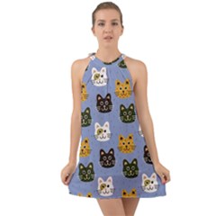 Cat Cat Background Animals Little Cat Pets Kittens Halter Tie Back Chiffon Dress