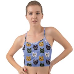 Cat Cat Background Animals Little Cat Pets Kittens Mini Tank Bikini Top