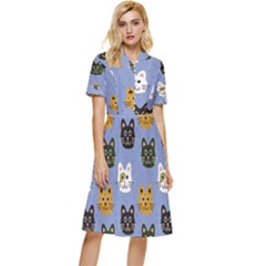 Cat Cat Background Animals Little Cat Pets Kittens Button Top Knee Length Dress by Maspions