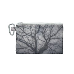 Landscape Forest Ceiba Tree, Guayaquil, Ecuador Canvas Cosmetic Bag (small)