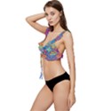 Colorful Floral Ornament, Floral Patterns Low Cut Ruffle Edge Bikini Top View2