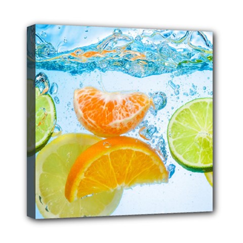 Fruits, Fruit, Lemon, Lime, Mandarin, Water, Orange Mini Canvas 8  X 8  (stretched) by nateshop