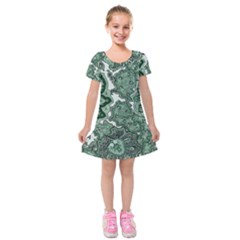 Green Ornament Texture, Green Flowers Retro Background Kids  Short Sleeve Velvet Dress by nateshop