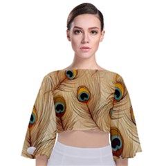 Vintage Peacock Feather Peacock Feather Pattern Background Nature Bird Nature Tie Back Butterfly Sleeve Chiffon Top