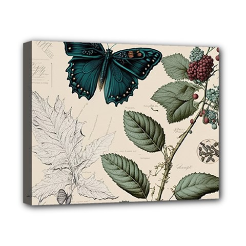 Butterflies Butterfly Botanical Nature Sketch Junk Journal Field Notes Paper Vintage Ephemera Canvas 10  X 8  (stretched) by Maspions