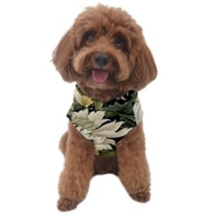 Flower Blossom Bloom Botanical Spring Nature Floral Pattern Leaves Dog Sweater