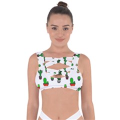 Cactus Plants Background Pattern Seamless Bandaged Up Bikini Top