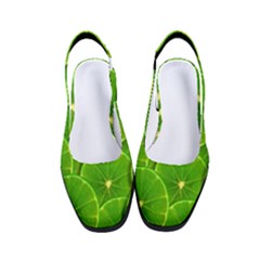 Lime Textures Macro, Tropical Fruits, Citrus Fruits, Green Lemon Texture Women s Classic Slingback Heels by nateshop