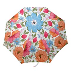 Flowers Plants Bouquets Decor Flower Decoration Garden Flower Shop Scent Romance Wallpaper Nature Folding Umbrellas