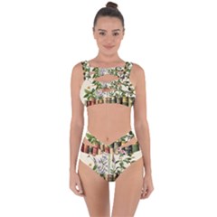 Books Flowers Book Flower Flora Floral Bandaged Up Bikini Set 