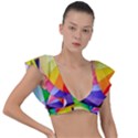 bring colors to your day Plunge Frill Sleeve Bikini Top View1