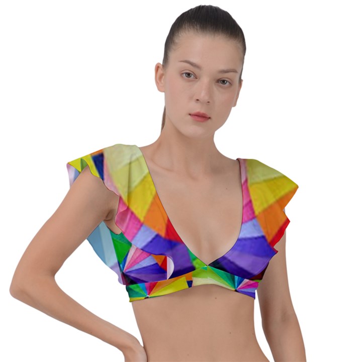 bring colors to your day Plunge Frill Sleeve Bikini Top