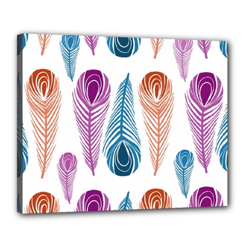 Pen Peacock Colors Colored Pattern Canvas 20  X 16  (stretched) by Maspions