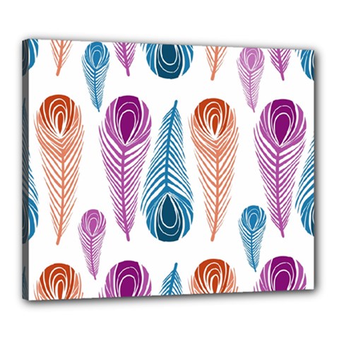 Pen Peacock Colors Colored Pattern Canvas 24  X 20  (stretched)