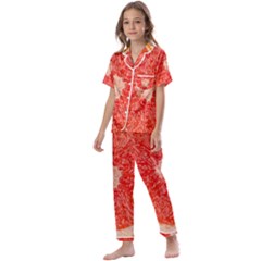 Grapefruit-fruit-background-food Kids  Satin Short Sleeve Pajamas Set by Maspions