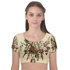 Vintage-antique-plate-china Velvet Short Sleeve Crop Top 