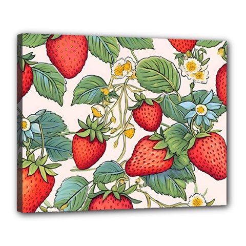 Strawberry-fruits Canvas 20  X 16  (stretched) by Maspions