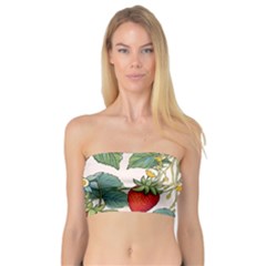 Strawberry-fruits Bandeau Top