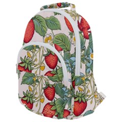 Strawberry-fruits Rounded Multi Pocket Backpack