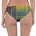 Outdoors Night Moon Full Moon Trees Setting Scene Forest Woods Light Moonlight Nature Wilderness Lan Reversible Hipster Bikini Bottoms View4