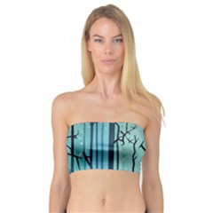 Nature Outdoors Night Trees Scene Forest Woods Light Moonlight Wilderness Stars Bandeau Top