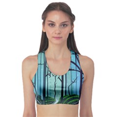 Nature Outdoors Night Trees Scene Forest Woods Light Moonlight Wilderness Stars Fitness Sports Bra