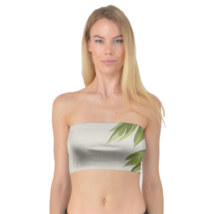 Watercolor Leaves Branch Nature Plant Growing Still Life Botanical Study Bandeau Top