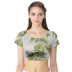 Watercolor Leaves Branch Nature Plant Growing Still Life Botanical Study Short Sleeve Crop Top by Posterlux