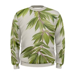 Watercolor Leaves Branch Nature Plant Growing Still Life Botanical Study Men s Sweatshirt by Posterlux