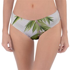 Watercolor Leaves Branch Nature Plant Growing Still Life Botanical Study Reversible Classic Bikini Bottoms